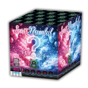 Secret Revealed Boy By Encrypted Fireworks Gender Reveal